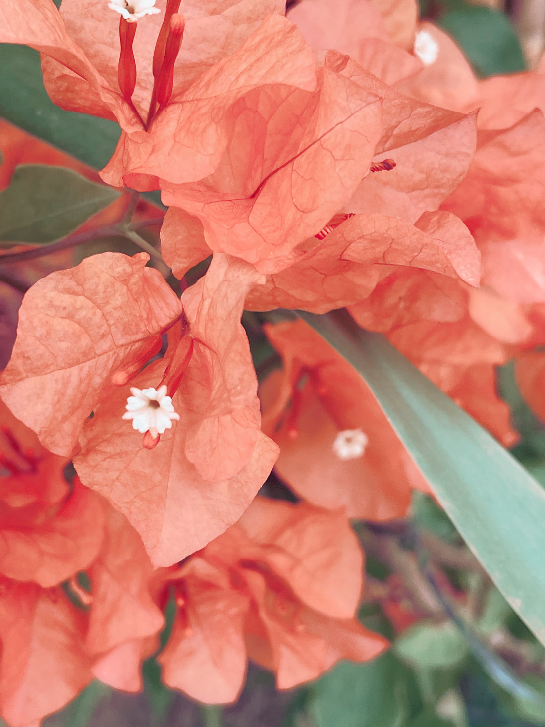 Ombrella Parasols - 'The materials we use'.
