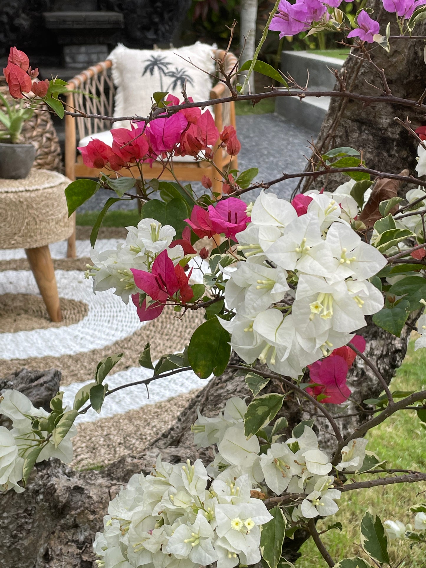 Bali Collection - White & Gold  - 2 meters wide